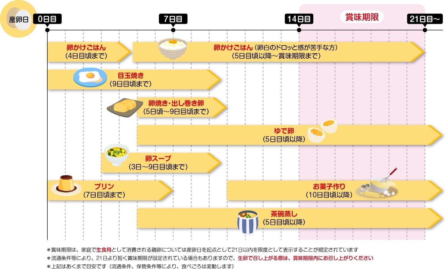 活動歴および当時の関連ビジュアル記録