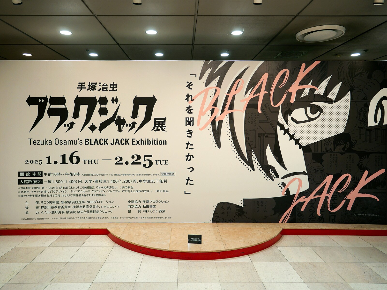 678919d549b83.jpg?im=