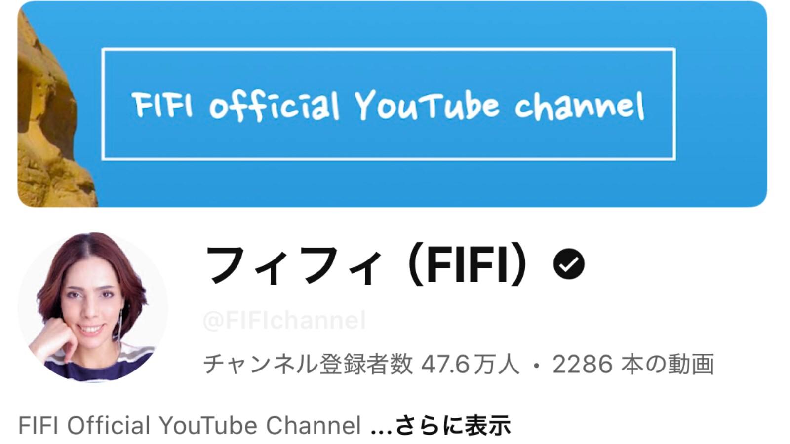 活動歴および当時の関連ビジュアル記録