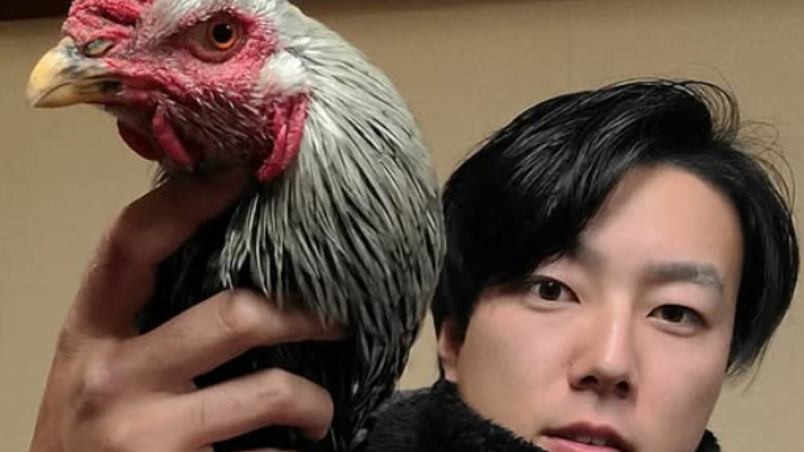 世間をにぎわせている」動物系YouTuber、違法行為の告発に声明「飼育し