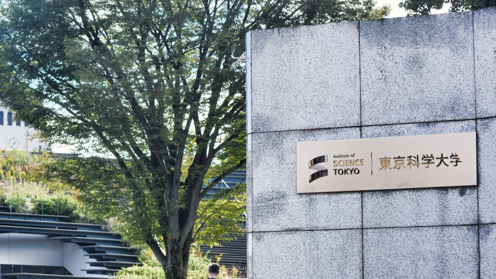 同じ大学なのに「違う階層」…東京科学大の一般選抜女子が、女子枠合格者に『あのこは貴族』を見る瞬間