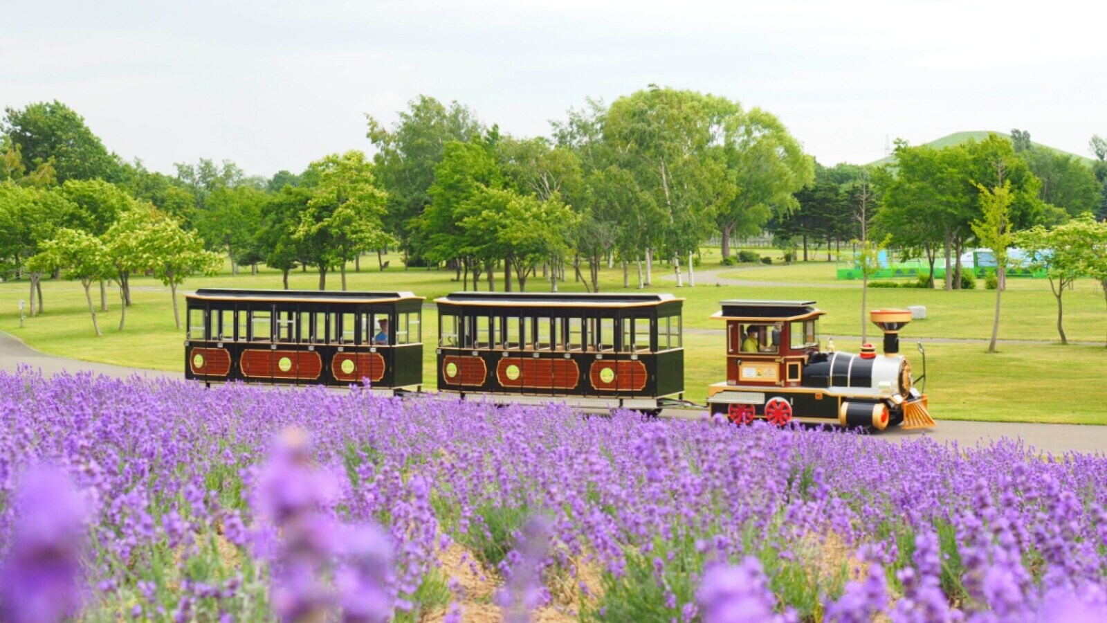 【北海道】3公園すべて入場無料！ SLバス、馬車体験、芸術公園も…1日楽しめる大型公園3選